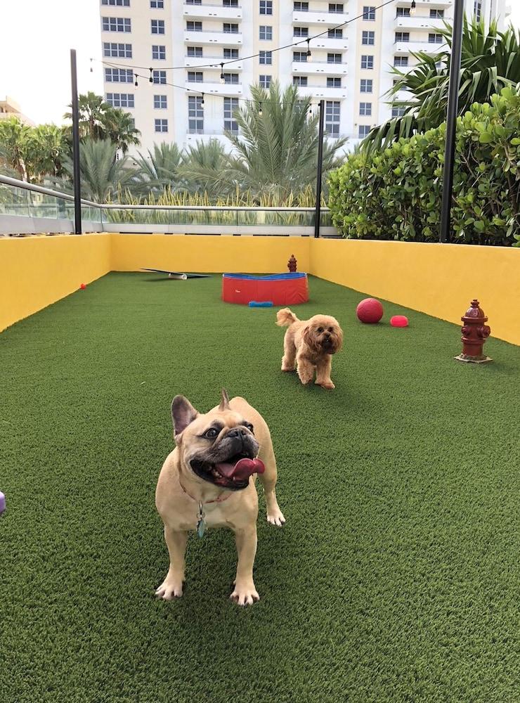 Hyatt Centric South Beach Miami Miami Beach Eksteriør bilde